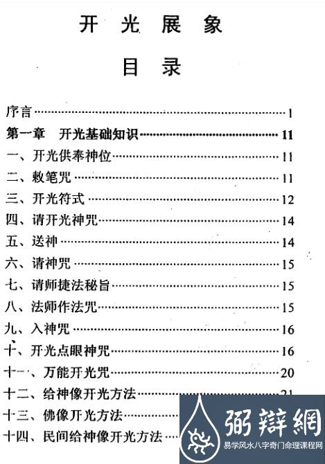 冲天居士 李纯文-开光展相.pdf